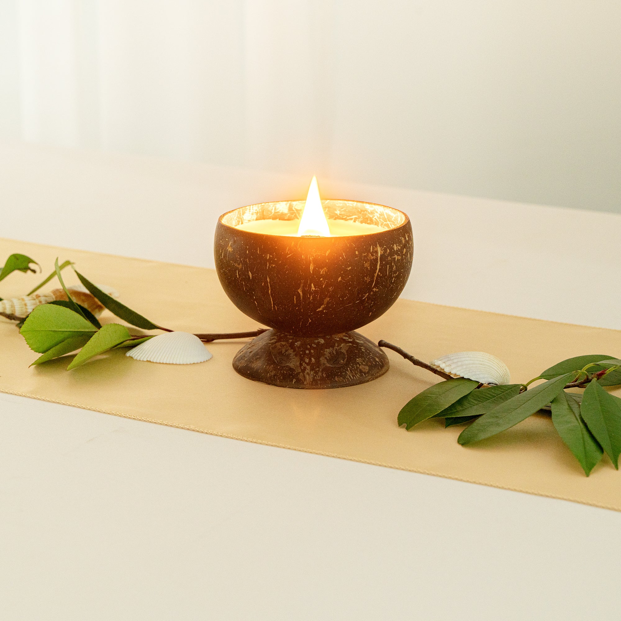 Coco Casa Handmade Coconut Candle Bowl - Coconut Mango - 4" x 4" x 2 3/4" - 10 count box
