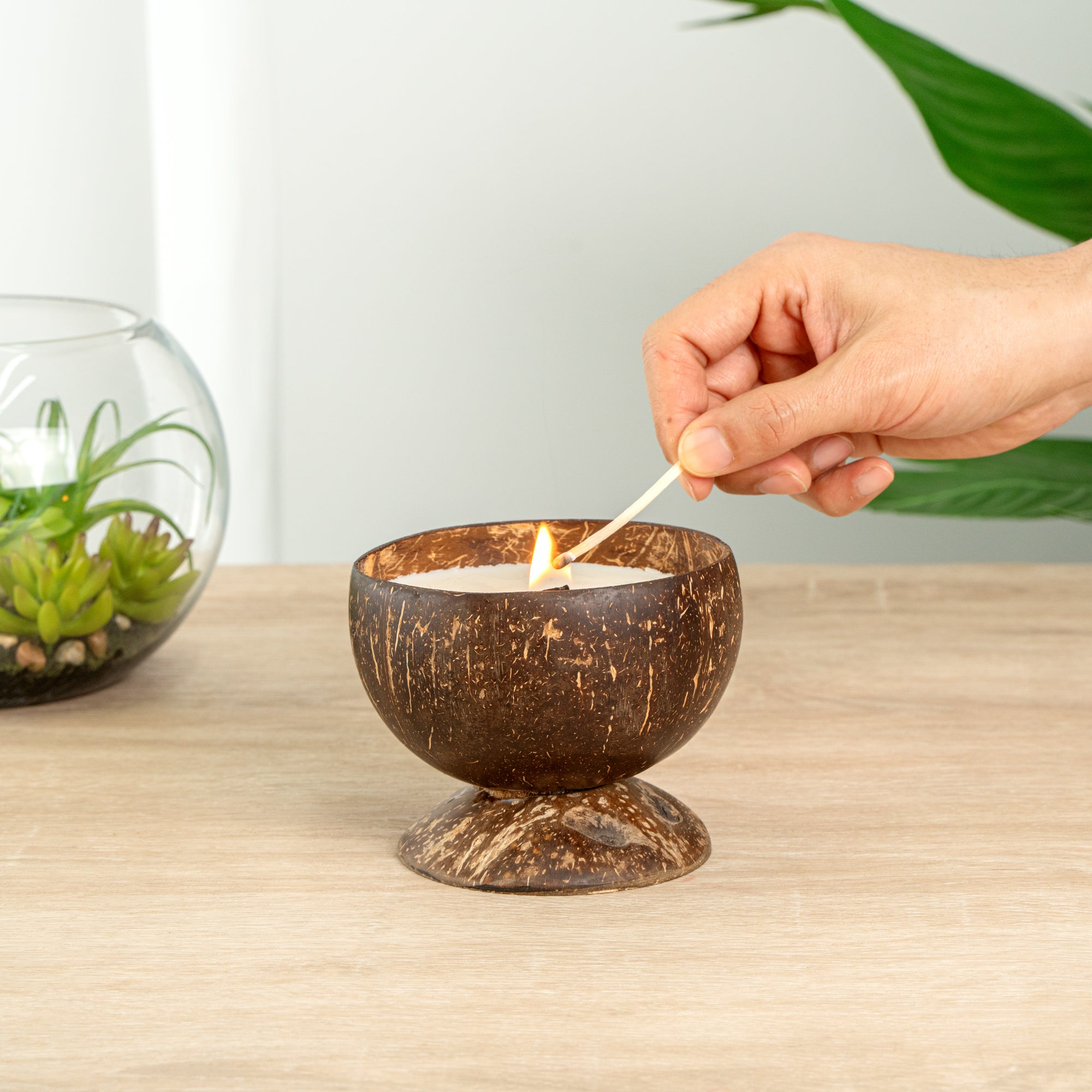 Coco Casa Handmade Coconut Candle Bowl - Pineapple Papaya - 4" x 4" x 2 3/4" - 10 count box