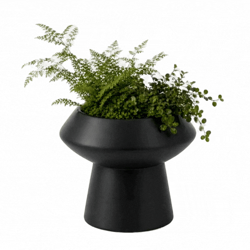 Table Art Black Ceramic Mushroom Vase - 6 1/4'' x 6 1/4'' x 6'' - 1 count box