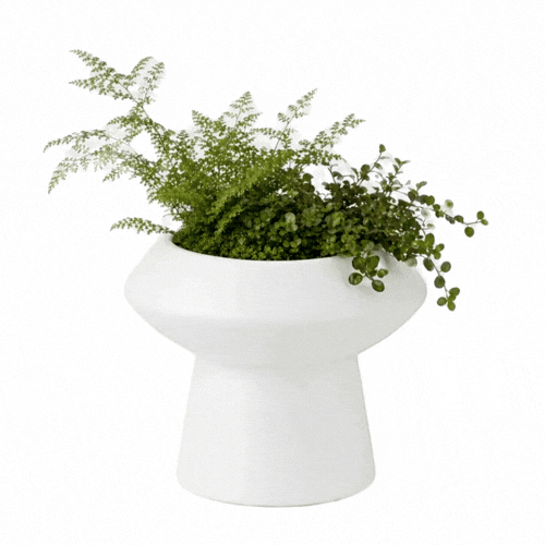 Table Art White Ceramic Mushroom Vase - 6 1/4'' x 6 1/4'' x 6'' - 1 count box