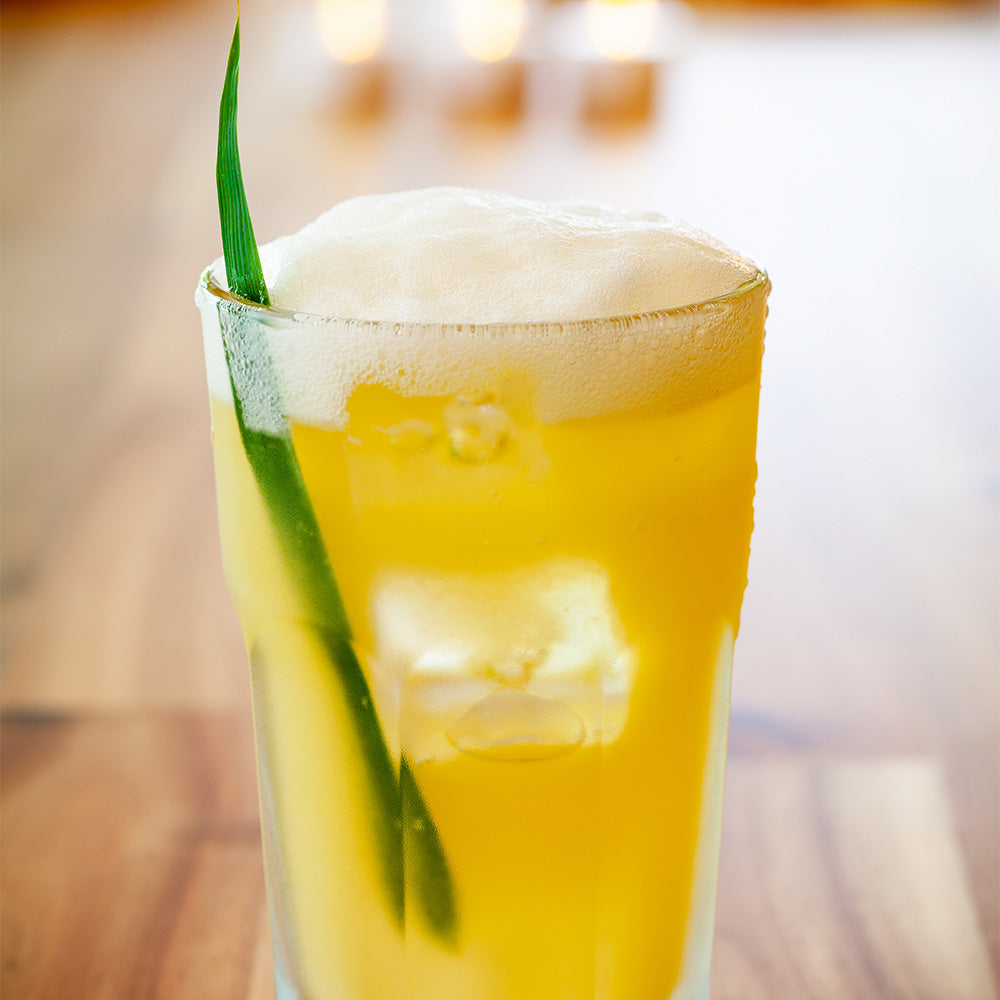 Otto 10 oz Highball Glass - 3" x 3" x 4 3/4" - 6 count box