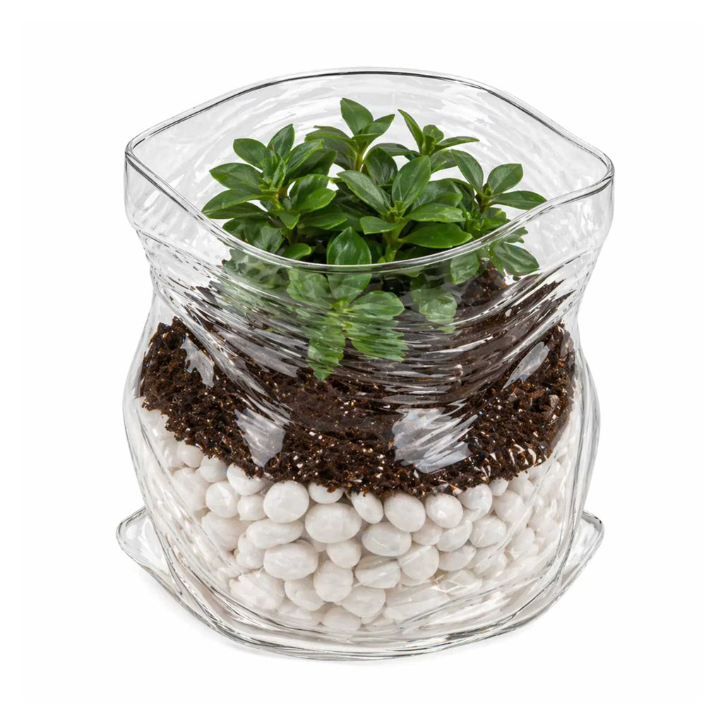 Vetri 22 oz Round Clear Glass Unzipped Bag Bowl - 4 3/4" x 4" x 4 1/2" - 1 count box