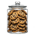 Vetri 1.5 gal Glass Storage Jar - with Glass Lid - 7 3/4" x 7 3/4" x 10 3/4" - 1 count box