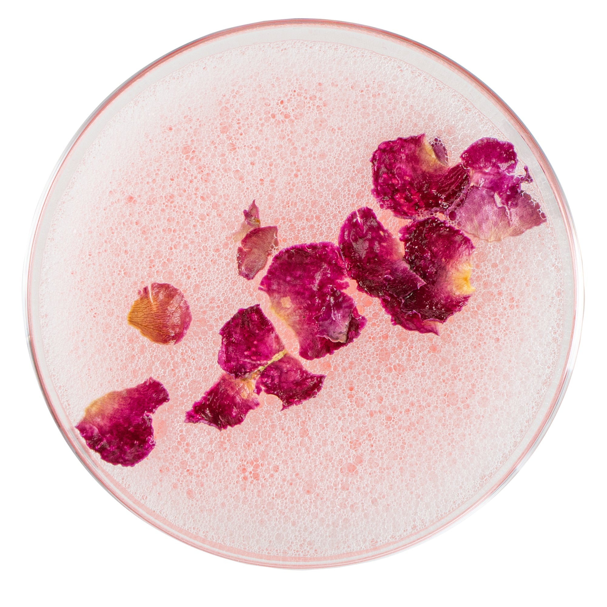 Vetri 8 oz Rose / Cocktail Glass - 3 1/4" x 3 1/4" x 5 3/4" - 24 count box