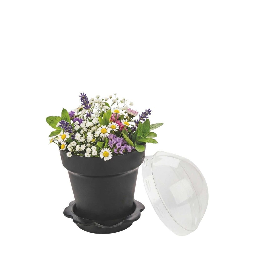 Mini Serve 6 oz Black Plastic Mini Flower Pot Cup - with Lid - 3" x 3" x 3" - 100 count box