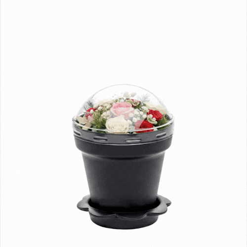 Mini Serve 6 oz Black Plastic Mini Flower Pot Cup - with Lid - 3" x 3" x 3" - 100 count box