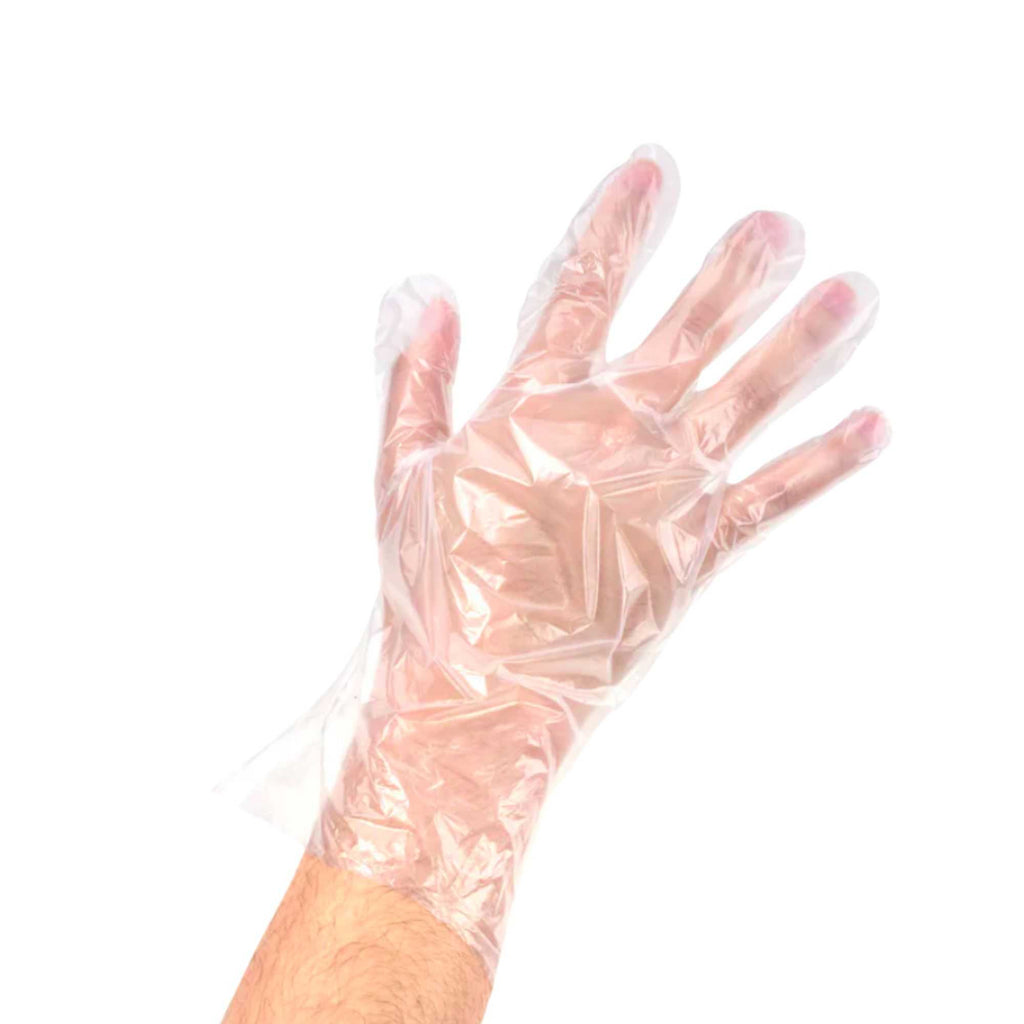 Eco Serve Clear Plastic Large Compostable Gloves - Powder-Free - 11 1/2" x 10 1/4" - 100 count box