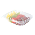 Thermo Tek 8 oz Rectangle Clear Plastic Deli / Snack Container - with Hinged Lid, Anti-Fog - 10" x 5 3/4" x 1 1/4" - 100 count box