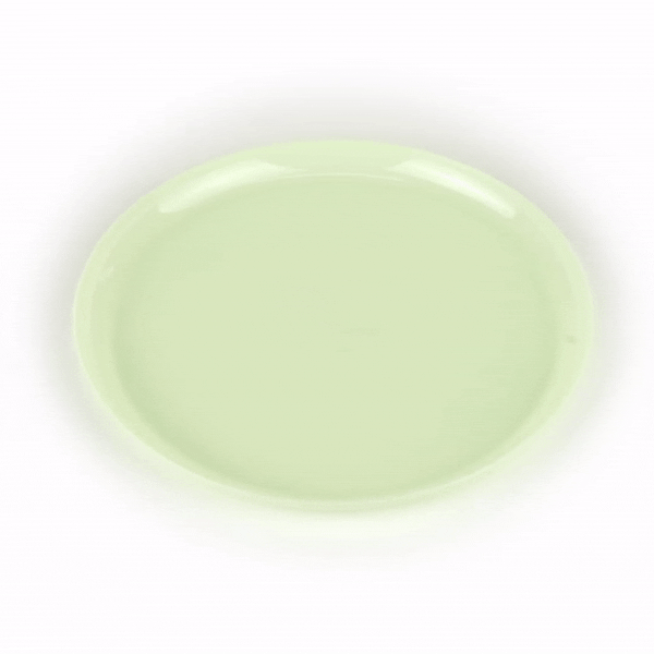 Moderna Round Mint Green Plastic Plate - 10 3/4" x 10 3/4" x 1/2" - 200 count box