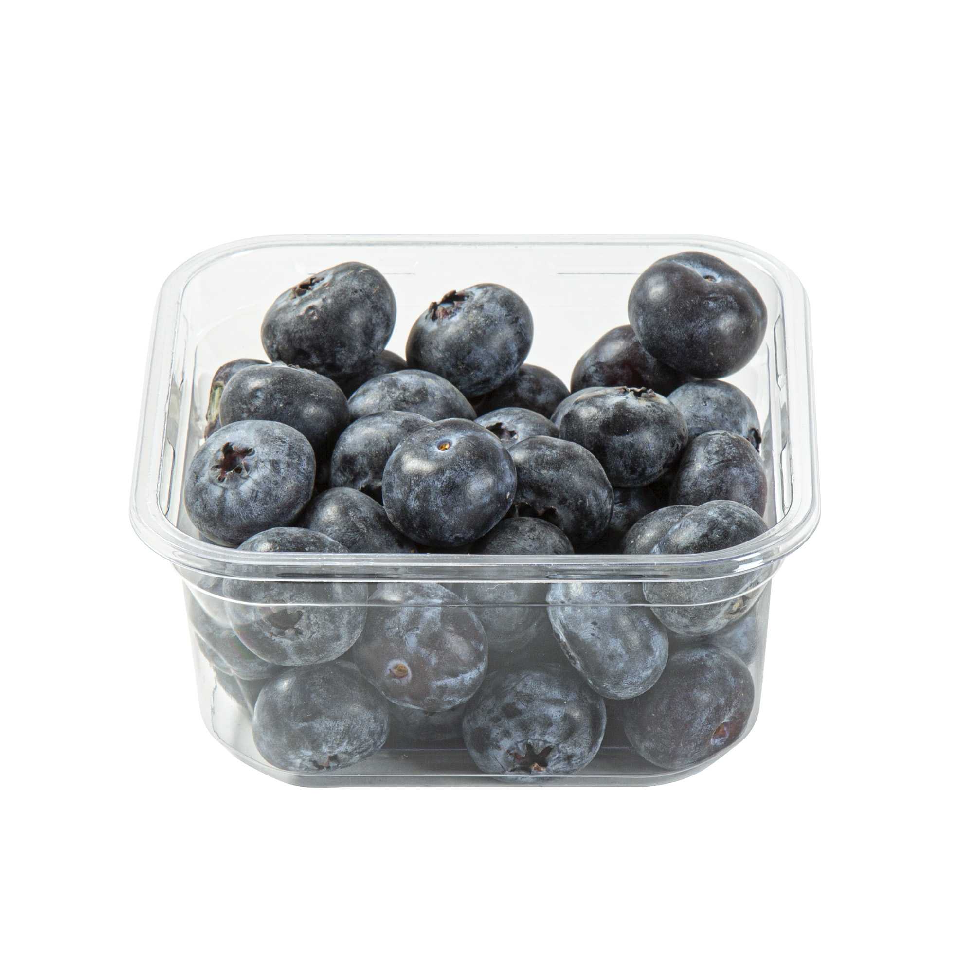 Thermo Tek 12 oz Square Clear Plastic Deli / Snack Container - 4 1/2" x 4 1/2" x 2" - 50 count box