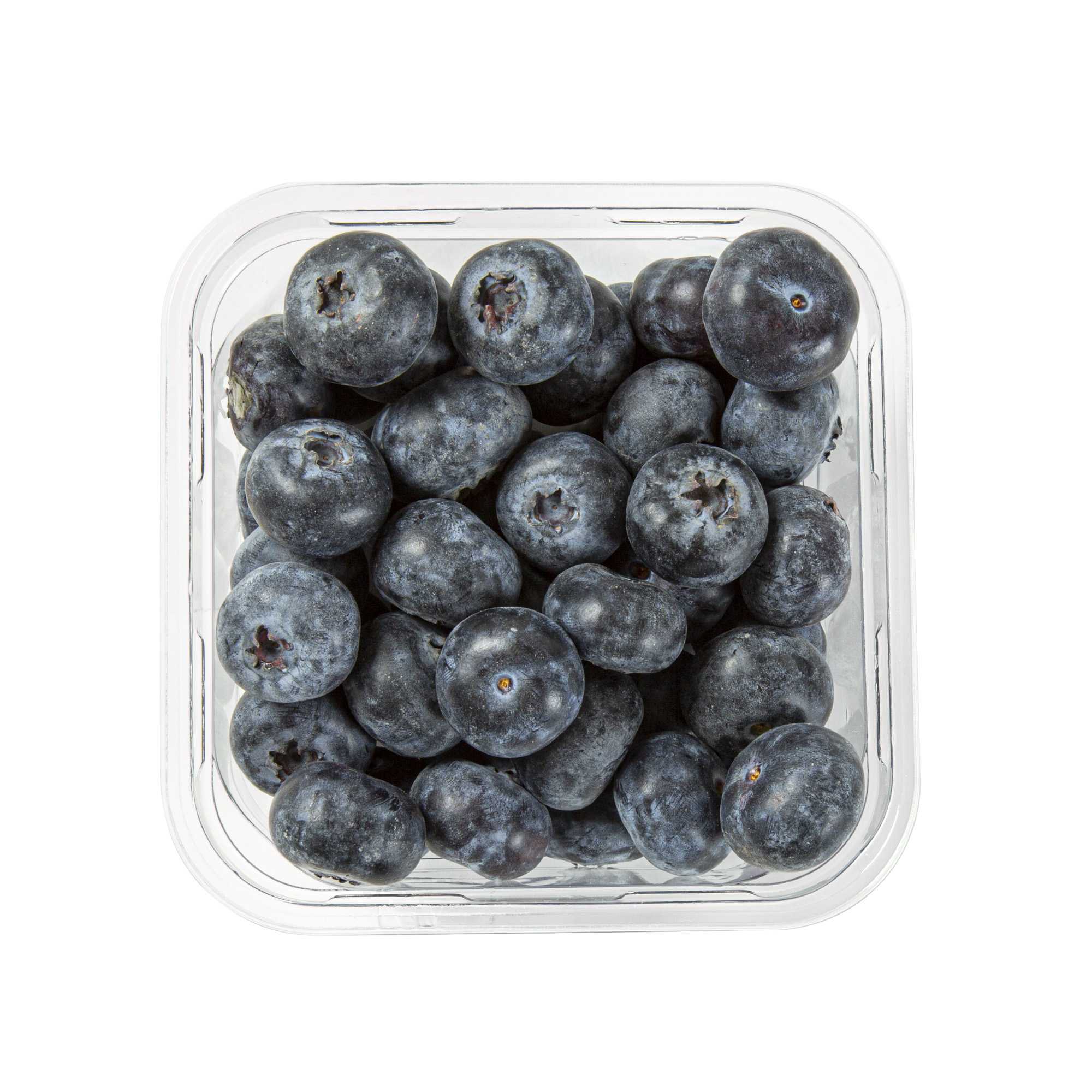 Thermo Tek 12 oz Square Clear Plastic Deli / Snack Container - 4 1/2" x 4 1/2" x 2" - 50 count box