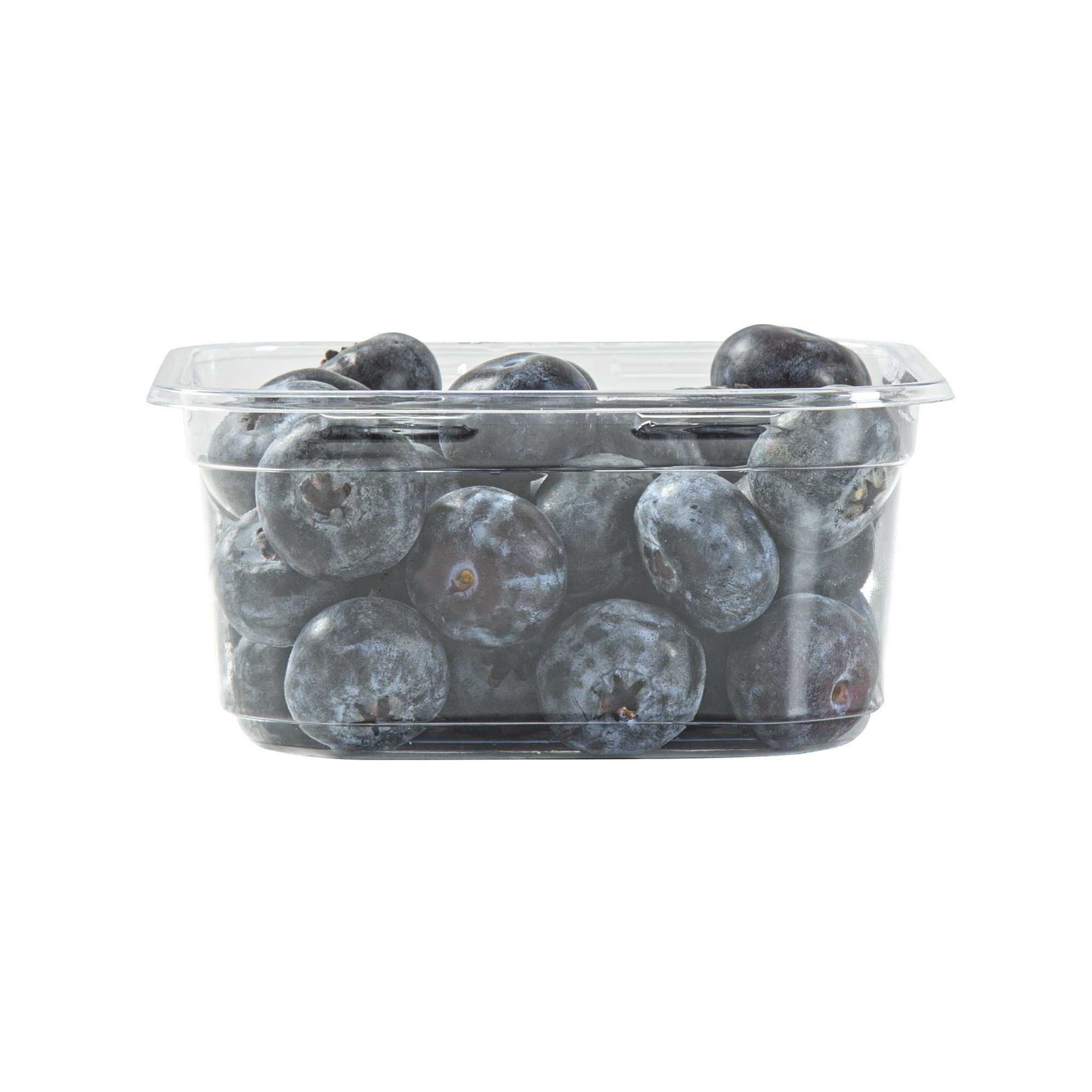 Thermo Tek 12 oz Square Clear Plastic Deli / Snack Container - 4 1/2" x 4 1/2" x 2" - 50 count box