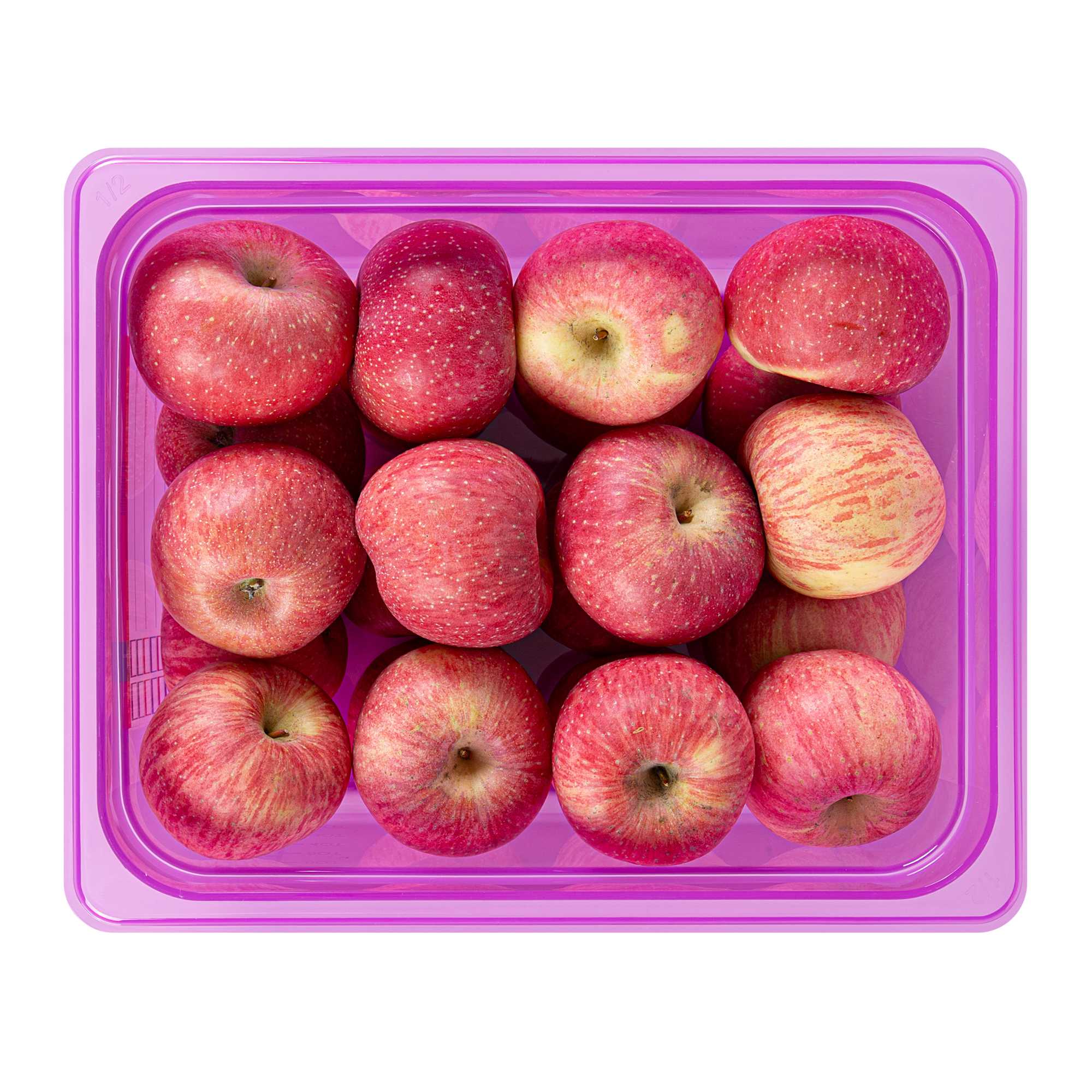 Met Lux Purple Allergen-Free Polypropylene Half Size Food Pan - 6" Deep, with Label - 1 count box
