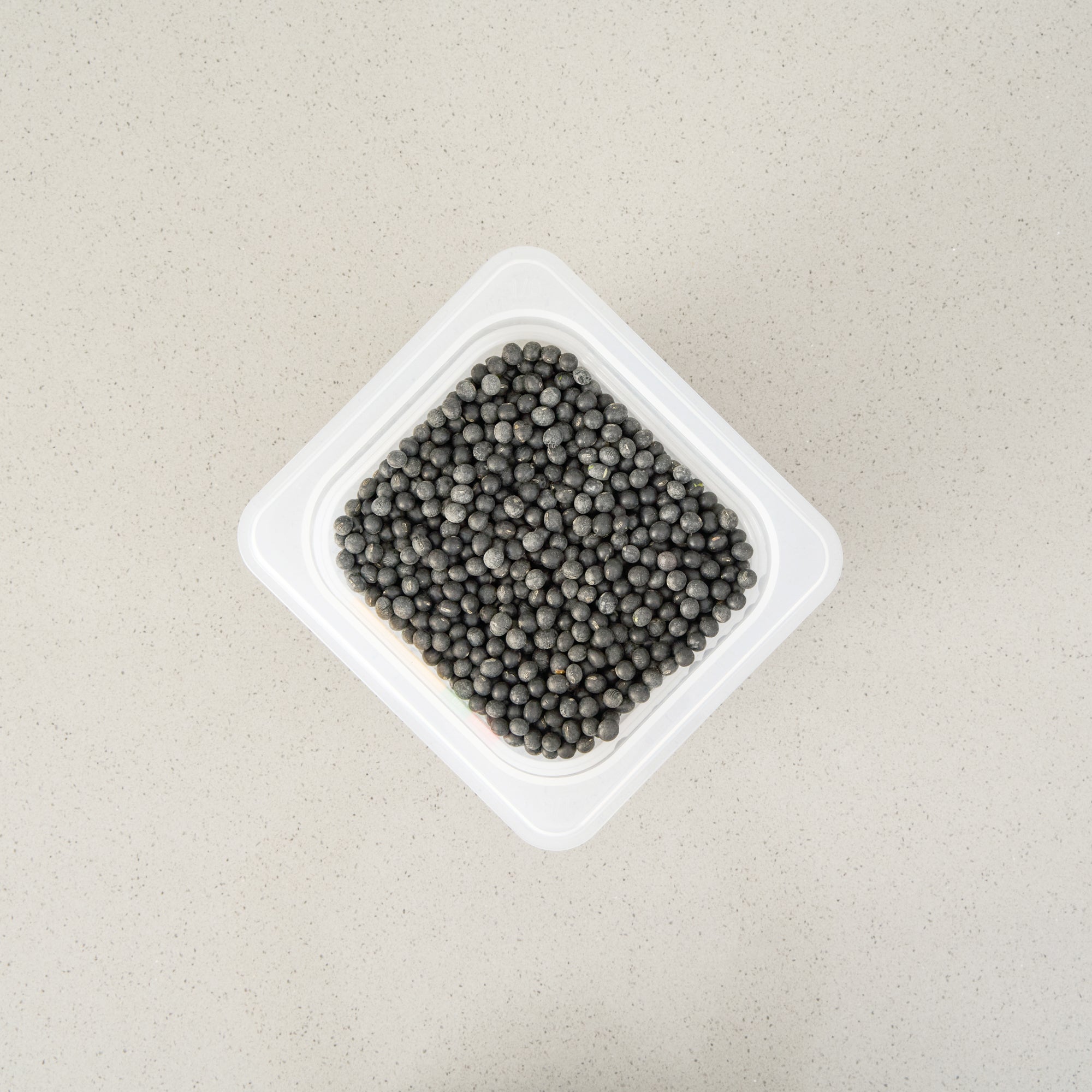 Met Lux Square White Polypropylene 1/6 Size Food Pan - 6" Deep, with Label - 6 3/4" x 6 1/4" x 6" - 10 count box