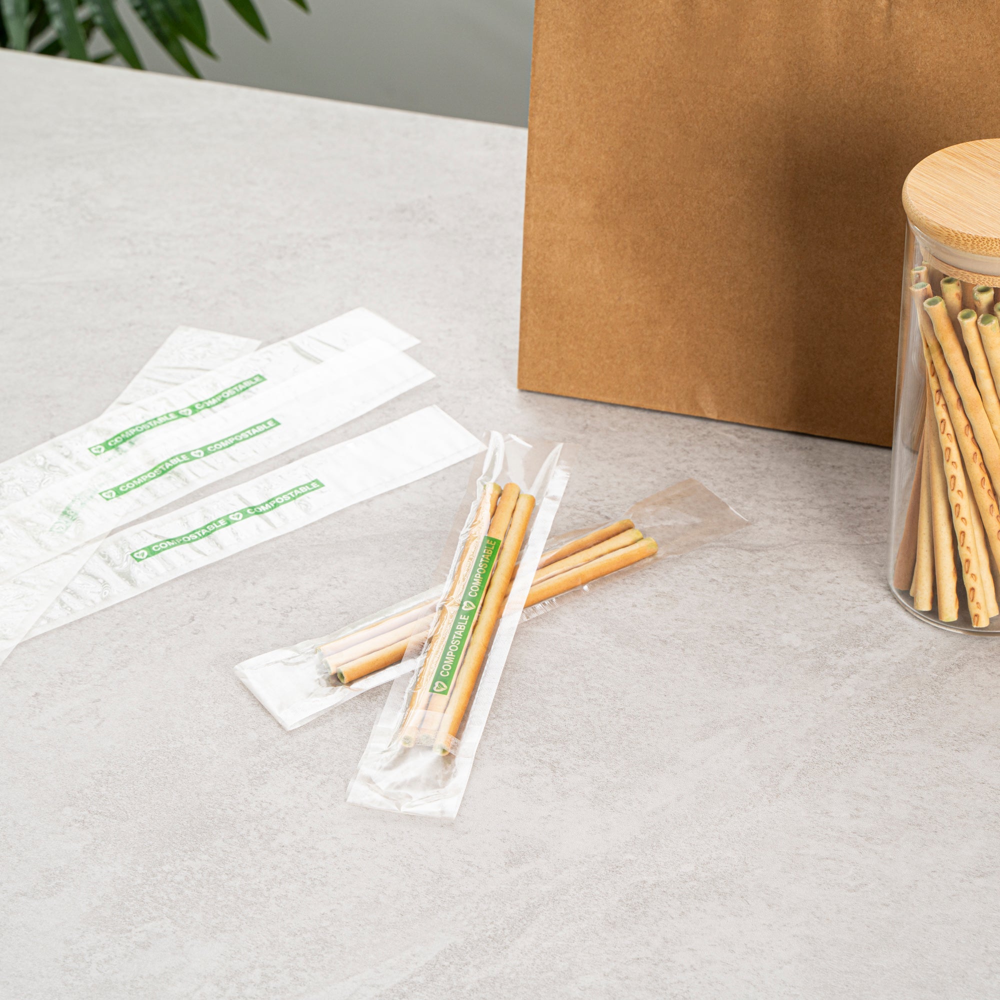 Basic Nature Clear Plastic Bag - with Flap, Home Compostable, High Clarity, Heat Sealable - 8" x 1" - 100 count box