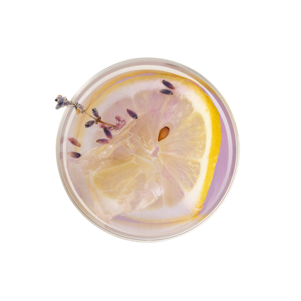 Chef 101 5 oz Clear Plastic Tumbler - with Gold Rim - 2 3/4" x 2 3/4" x 2 1/4" - 500 count box