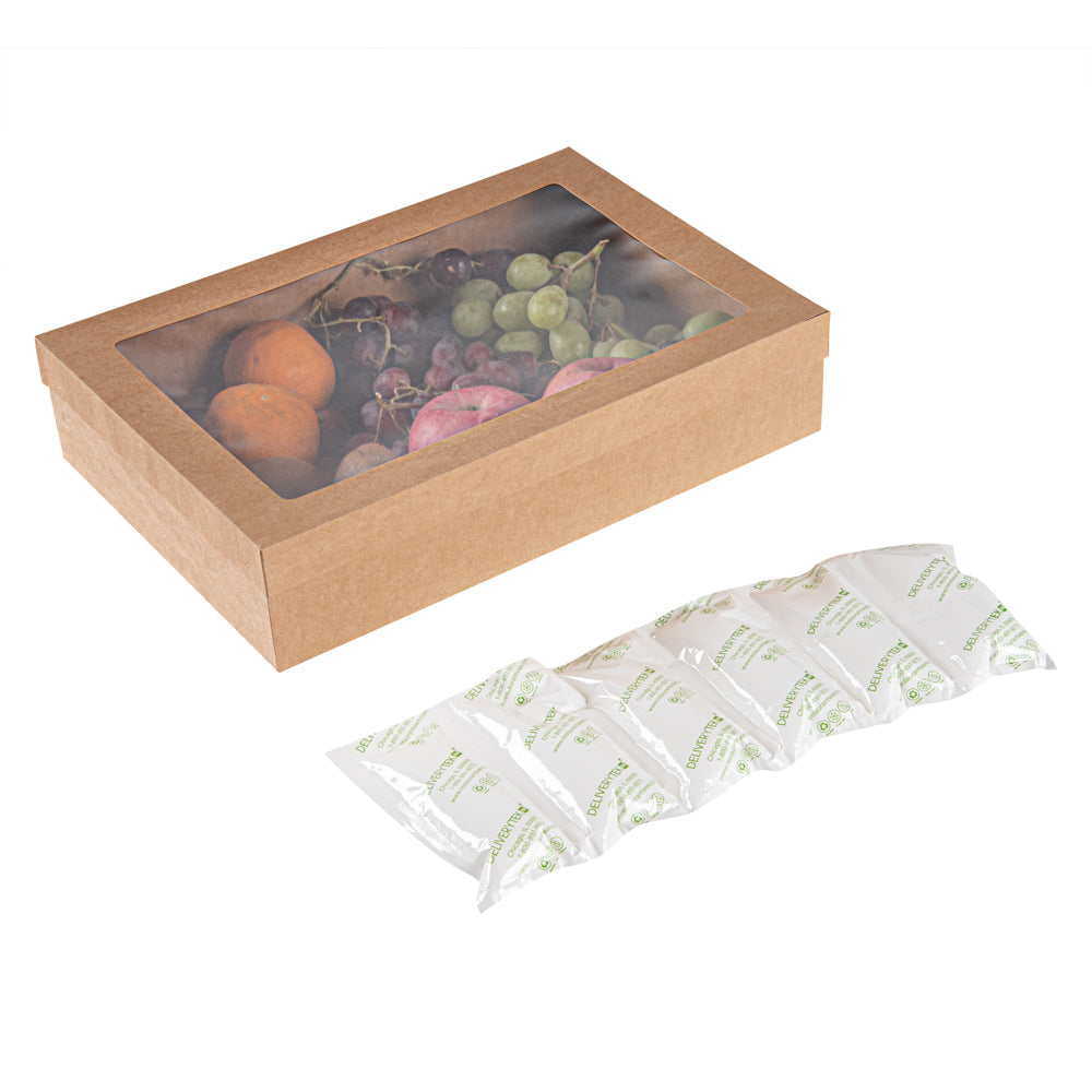 Delivery Tek Plastic Shipping Ice Pack - 1 x 6 Cells - 15 1/4" x 5 3/4" - 10 count box