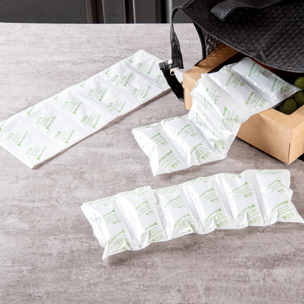 Delivery Tek Plastic Shipping Ice Pack - 1 x 6 Cells - 15 1/4" x 5 3/4" - 10 count box