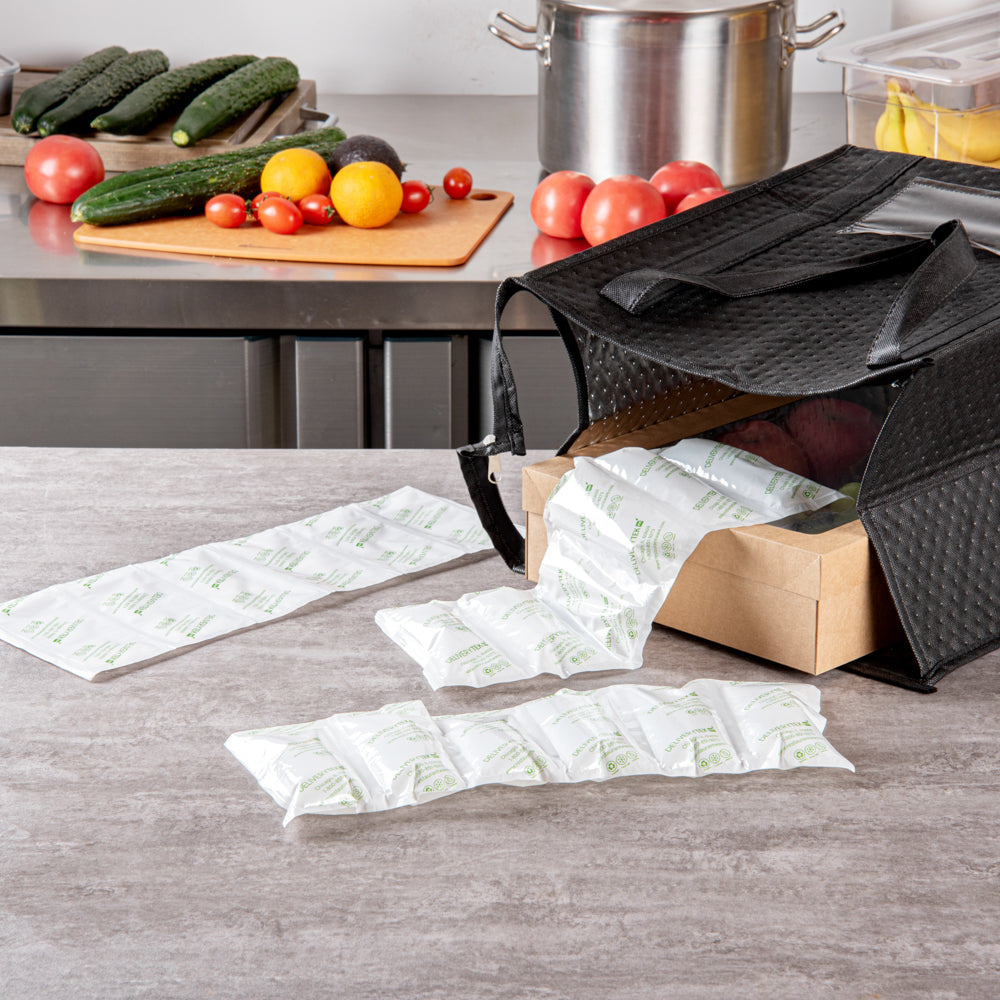 Delivery Tek Plastic Shipping Ice Pack - 1 x 6 Cells - 15 1/4" x 5 3/4" - 10 count box