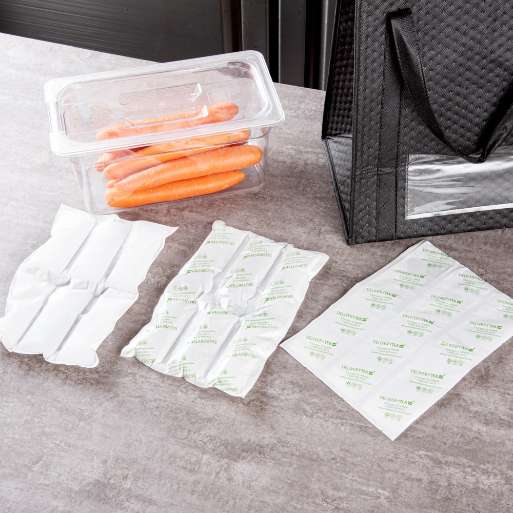 Delivery Tek Plastic Shipping Ice Pack - 3 x 2 Cells - 11 1/2" x 7 3/4" - 10 count box