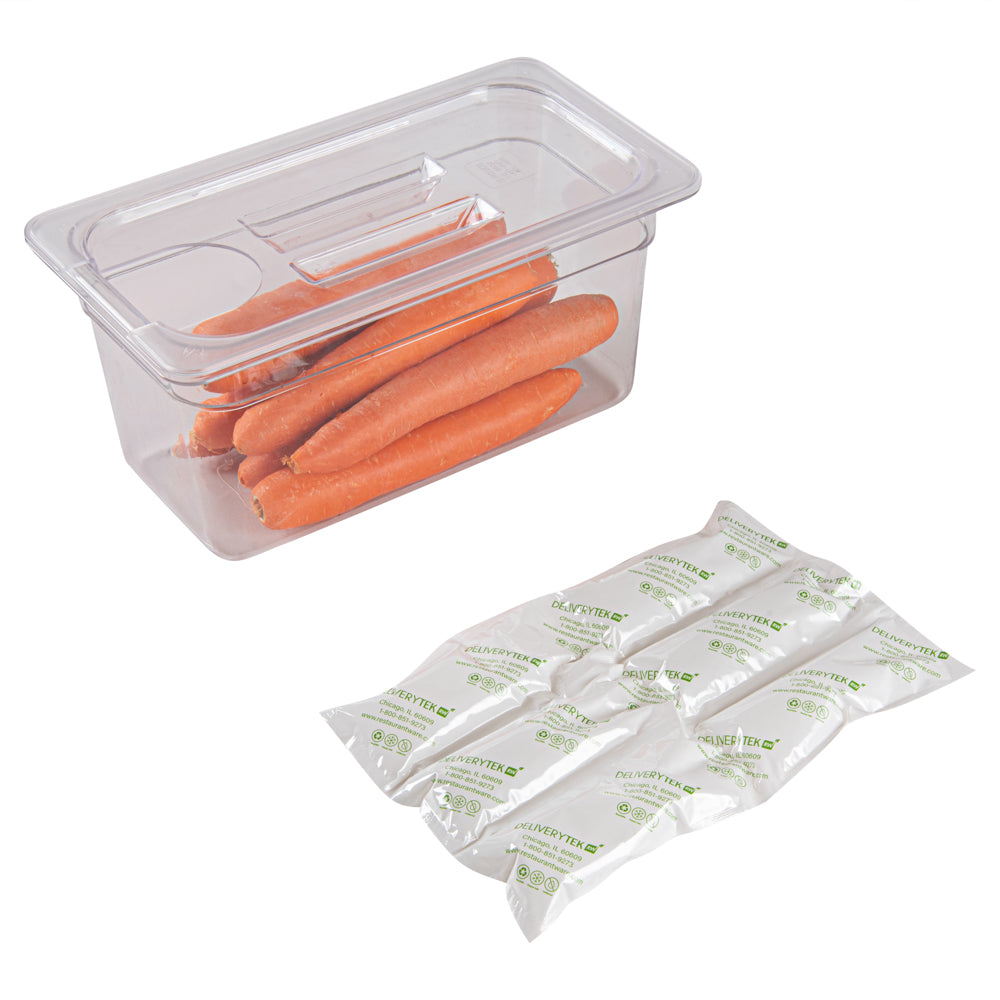 Delivery Tek Plastic Shipping Ice Pack - 3 x 2 Cells - 11 1/2" x 7 3/4" - 10 count box
