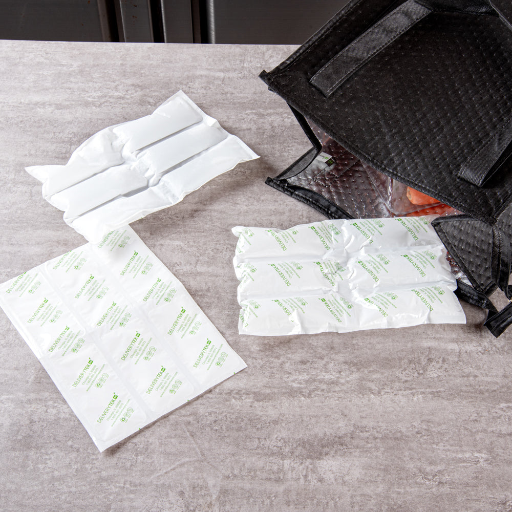 Delivery Tek Plastic Shipping Ice Pack - 3 x 2 Cells - 11 1/2" x 7 3/4" - 10 count box