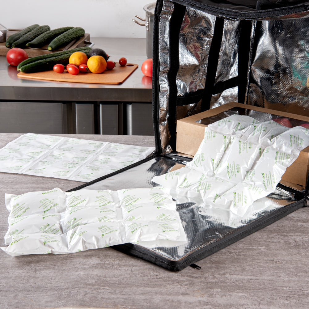 Delivery Tek Plastic Shipping Ice Pack - 3 x 3 Cells - 15 1/4" x 11 1/2" - 10 count box