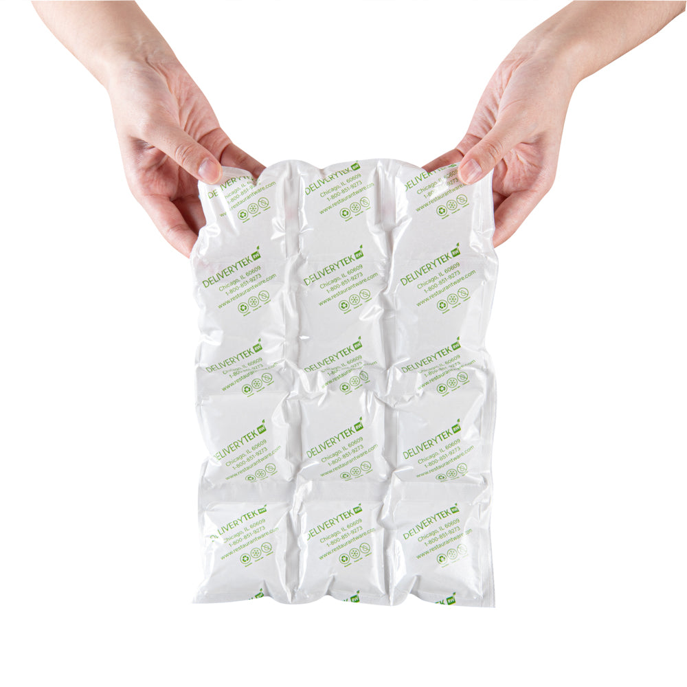Delivery Tek Plastic Shipping Ice Pack - 3 x 4 Cells - 11 1/2" x 7 3/4" - 100 count box