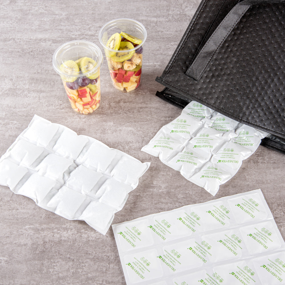 Delivery Tek Plastic Shipping Ice Pack - 3 x 4 Cells - 11 1/2" x 7 3/4" - 100 count box