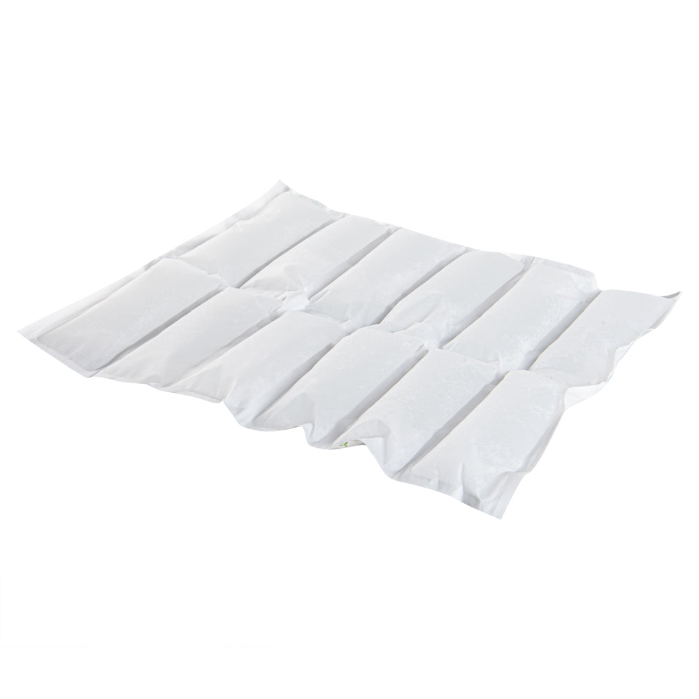 Delivery Tek Plastic Shipping Ice Pack - 2 x 6 Cells - 15 1/4" x 11 1/2" - 100 count box