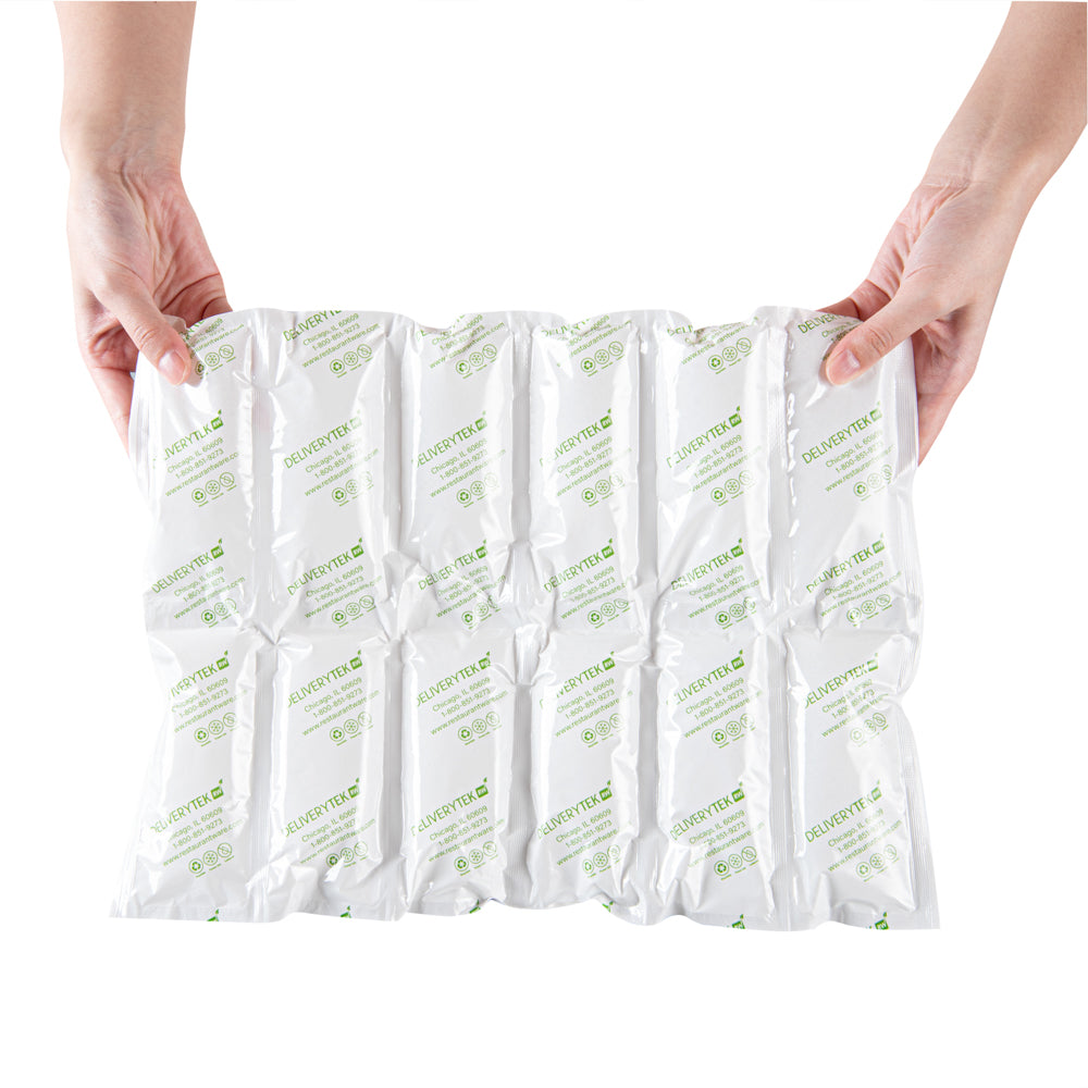 Delivery Tek Plastic Shipping Ice Pack - 2 x 6 Cells - 15 1/4" x 11 1/2" - 100 count box