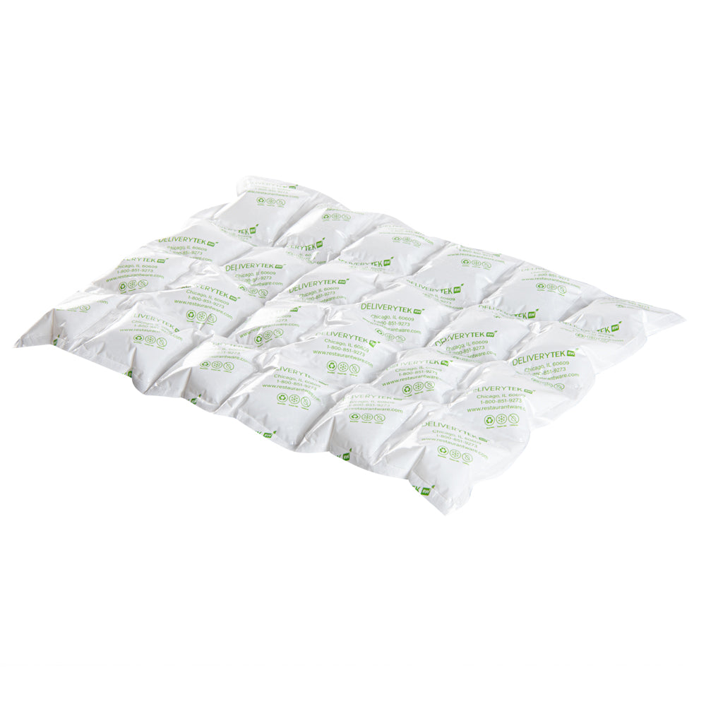 Delivery Tek Plastic Shipping Ice Pack - 4 x 6 Cells - 15 1/4" x 11 1/2" - 10 count box