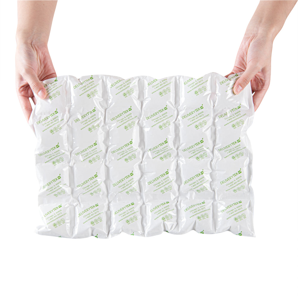 Delivery Tek Plastic Shipping Ice Pack - 4 x 6 Cells - 15 1/4" x 11 1/2" - 100 count box