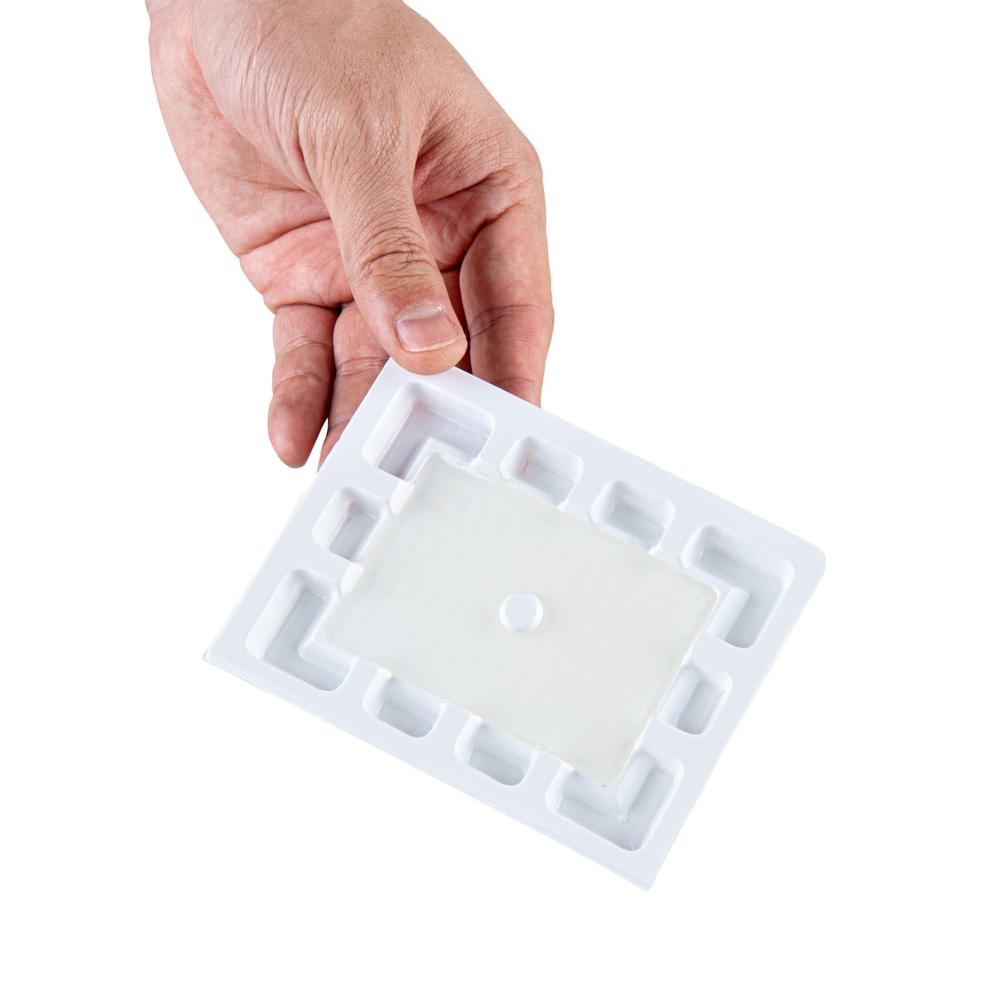 Pest Tek Plastic Mouse Glue Trap - Set of 4 - 4 1/2" x 3 1/4" x 1/2" - 1 count box