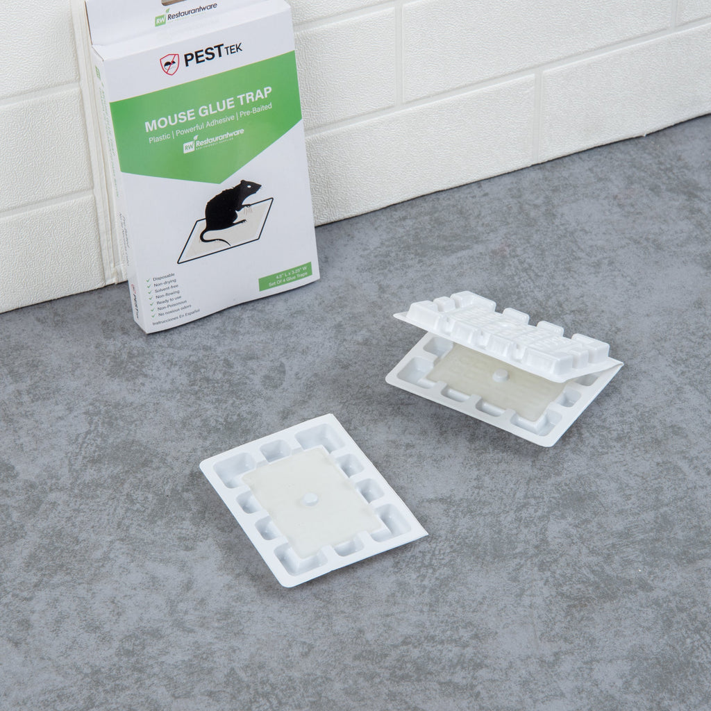 Pest Tek Plastic Mouse Glue Trap - Set of 4 - 4 1/2" x 3 1/4" x 1/2" - 10 count box