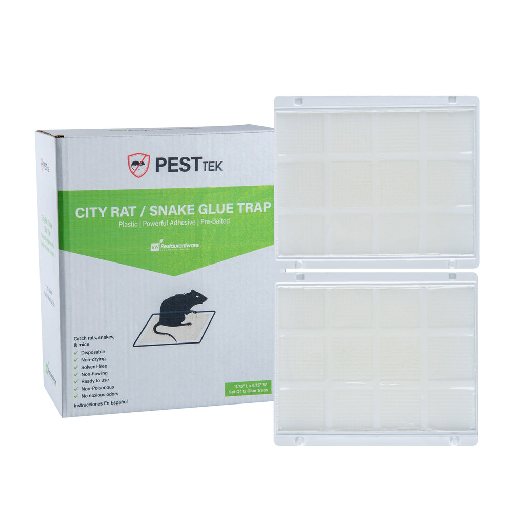 Pest Tek Plastic City Rat / Snake Glue Trap - Set of 12 - 11 3/4" x 9 3/4" x 1/2" - 1 count box
