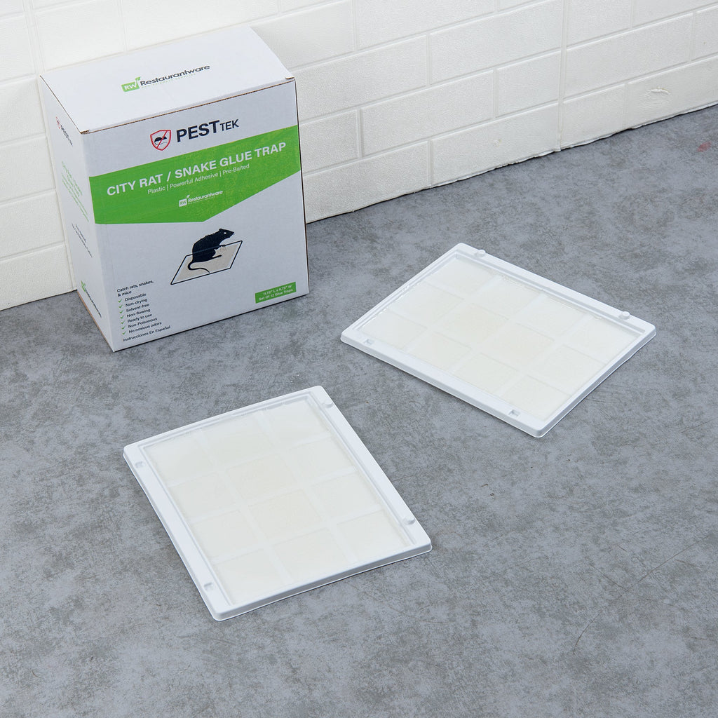 Pest Tek Plastic City Rat / Snake Glue Trap - Set of 12 - 11 3/4" x 9 3/4" x 1/2" - 1 count box