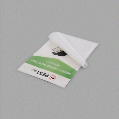Pest Tek Paper Insect / Mouse Glue Board Trap - Set of 2 - 8 1/4" x 5 1/4" - 10 count box