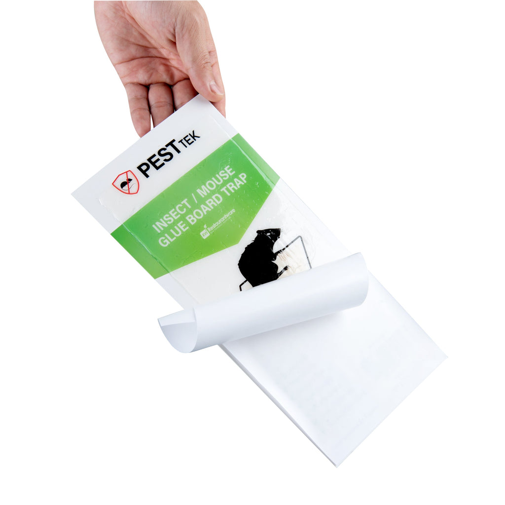 Pest Tek Paper Insect / Mouse Glue Board Trap - Set of 24 - 11" x 5 1/4" - 10 count box