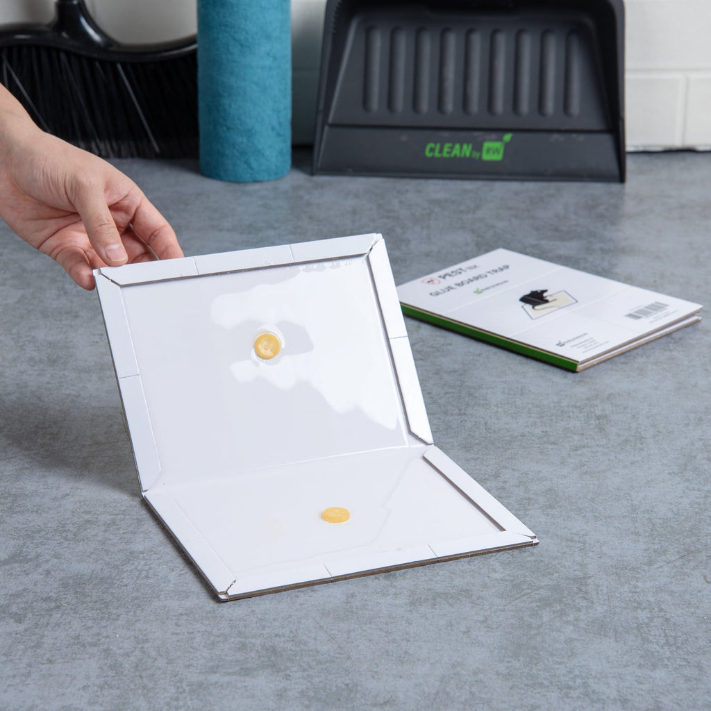 Pest Tek Paper Glue Board Trap - for Rat, Mouse, Snake and Roach - 8 1/2" x 6 1/2" x 1/2" - 1 count box