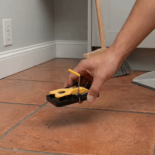 Pest Tek Yellow and Black Plastic Mouse Trap - Kill Bar, Reusable - 4 1/2" x 2" x 2 1/4" - 2 count box