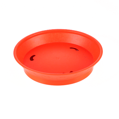 Chef 101 Round Red Plastic Diner Platter - with Base - 8 3/4" x 8 3/4" x 1 3/4" - 100 count box