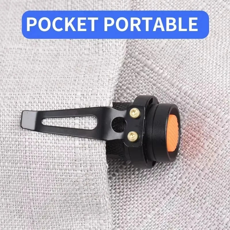 UV LED Flashlight Portable Blacklight | 365/395nm Wavelength for Pet Urine, Scorpion Detection & Hygiene