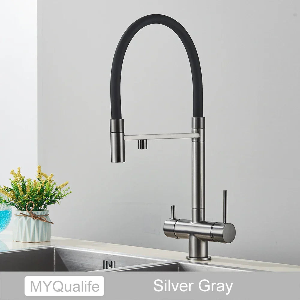 DecorBites™ Black Filtered Kitchen Faucet Brass Dual Handle Pure Water Mixer Taps