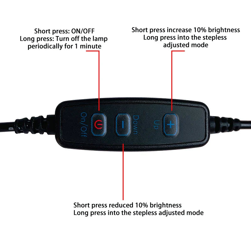 DC5V 24LED USB Night Light | 7 Color Atmosphere Lamp for Live Streaming