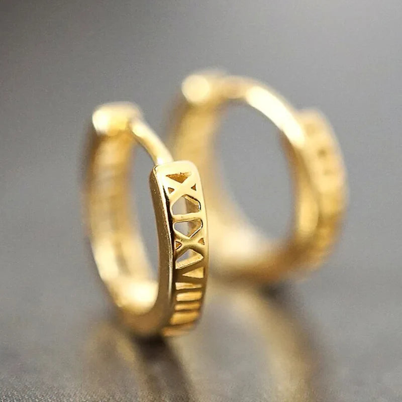 Shiny White Zircon Hoop Earrings | Simple Daily Wear for Women and Men