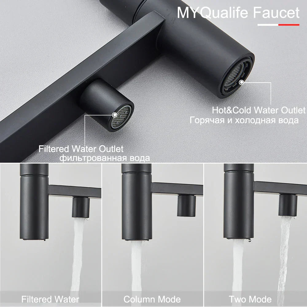 DecorBites™ Black Filtered Kitchen Faucet Brass Dual Handle Pure Water Mixer Taps