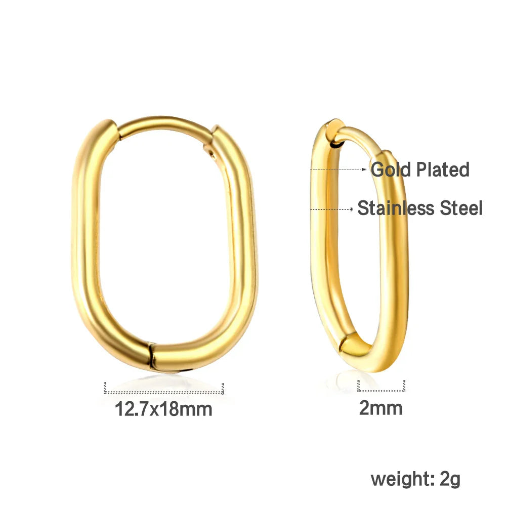 Stainless Steel Hoop Earrings for Women | Hypoallergenic Round Hinged Hoops - 12/14/16mm