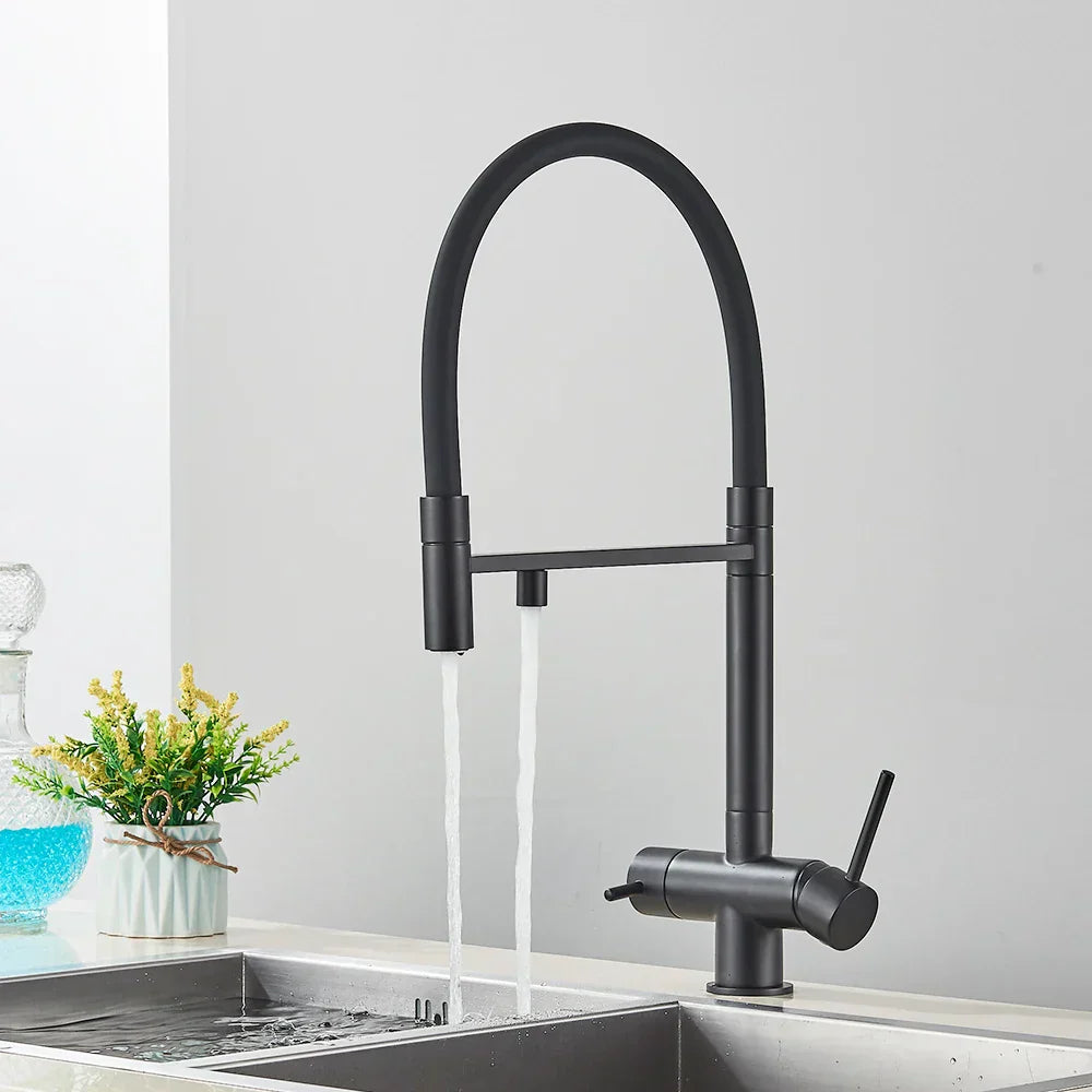 DecorBites™ Black Filtered Kitchen Faucet Brass Dual Handle Pure Water Mixer Taps