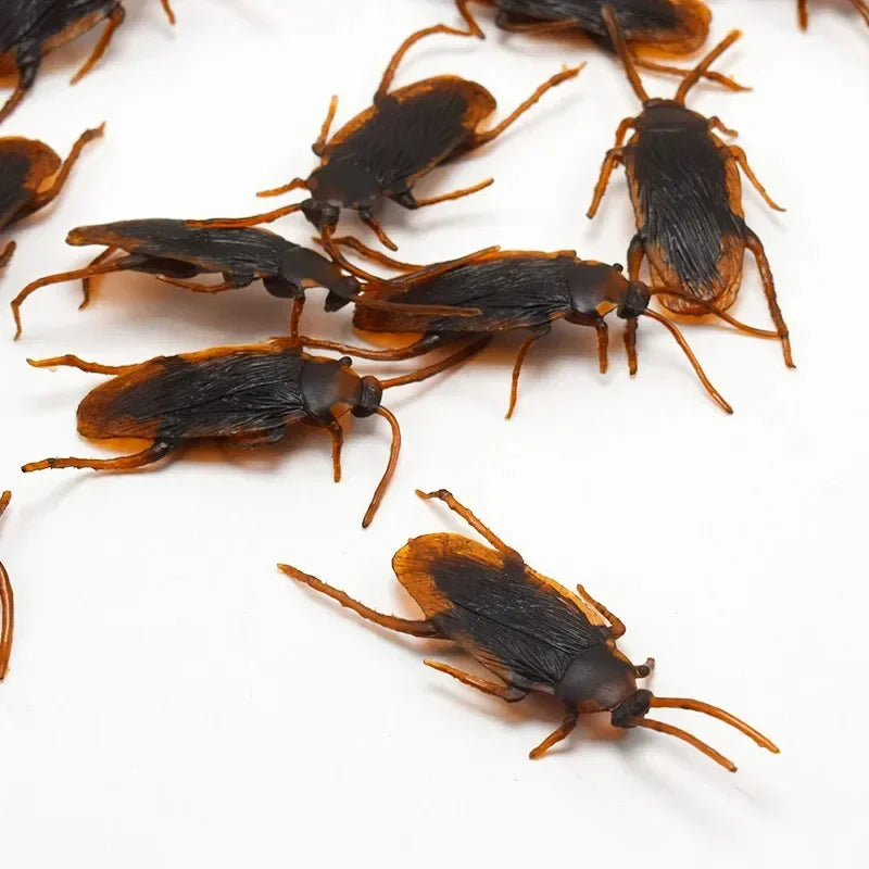 Realistic Fake Cockroaches | Lifelike Prank Toy for Gags and Jokes